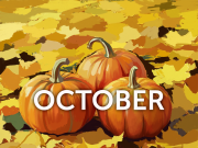 У жовтні 2025 року до Центру українсько-європейського наукового співробітництва приєдналися 13 науковців